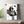 Paño de cocina Panda lindo