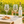 VinoSaurier Partygläser aus Kunststoff auf sommerlich gedecktem Tisch mit Weißwein, Blumen und Gebäck vor idyllischer ländlicher Landschaft mit gelbem Blumenfeld und rotem Landhaus